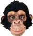 Chimp George - Bond's Boutique