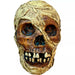 Mummy Skull - Bond's Boutique