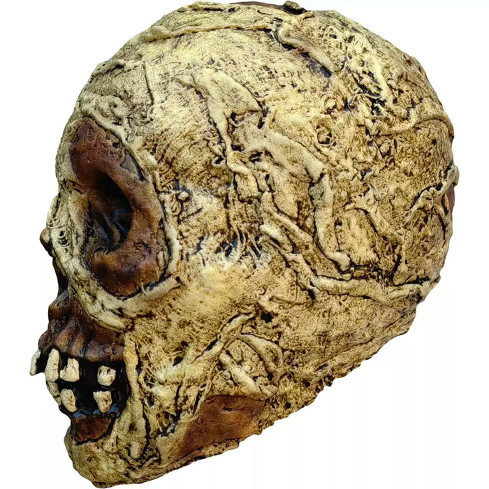 Mummy Skull - Bond's Boutique