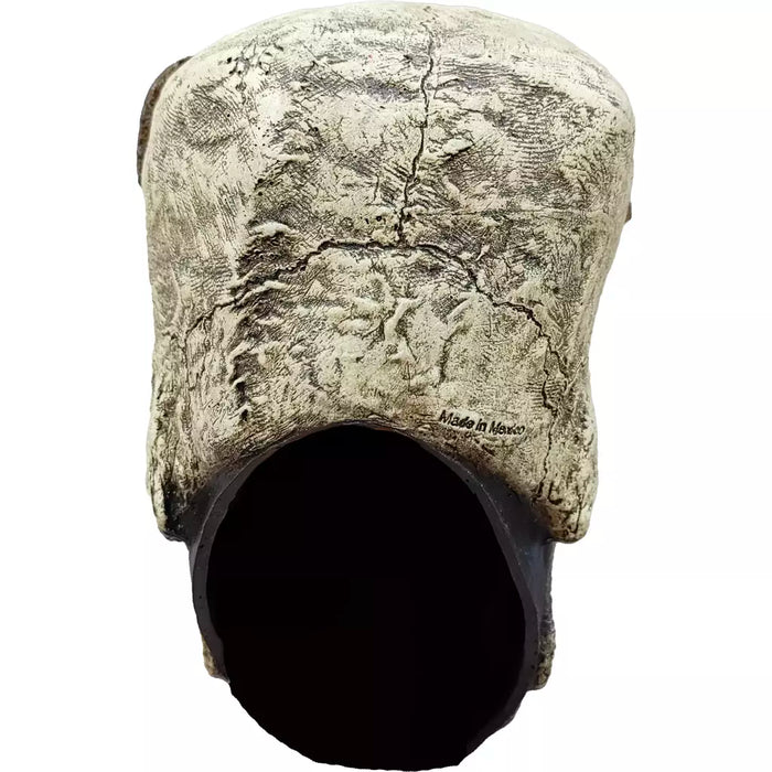 Franky Skull - Bond's Boutique