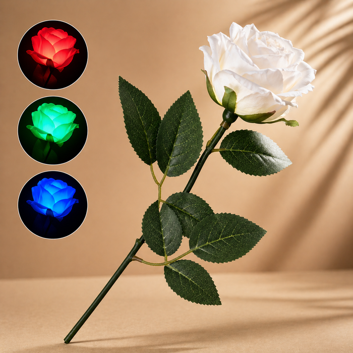 ROSA LED - Bond's Boutique