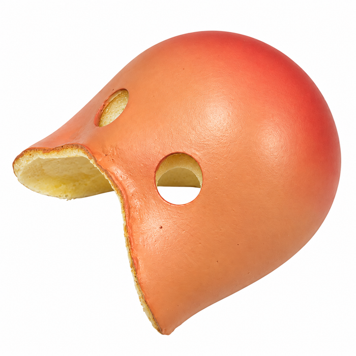 NARIZ PROKNOWS FLESH WMR