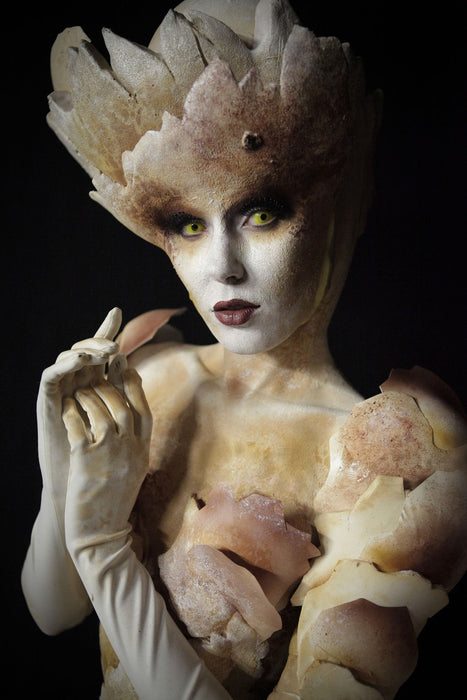 Apartado del "Curso FACEPAINT con tocado y prótesis" - PRESENCIAL - 19 y 20 de Enero