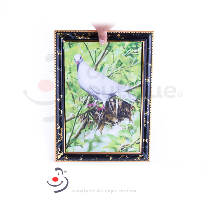 Cuadro Paloma - Bond's Boutique