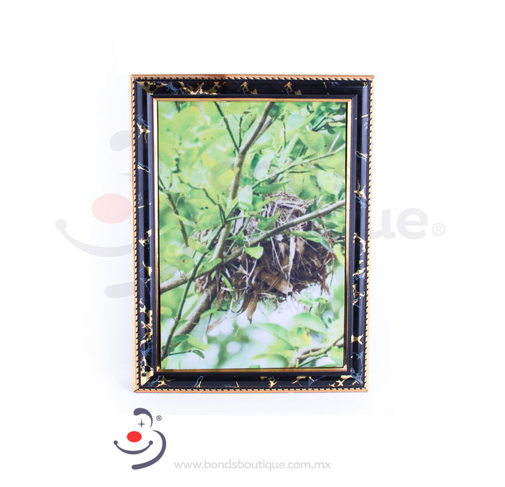 Cuadro Paloma - Bond's Boutique